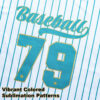 Akilex CP25240 custom sublimated sportswear - view 6
